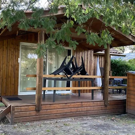 Campsite Dodo *