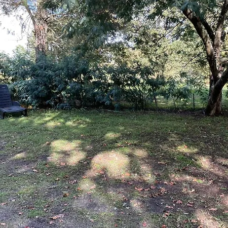 Dodo 캠프장 La Hume